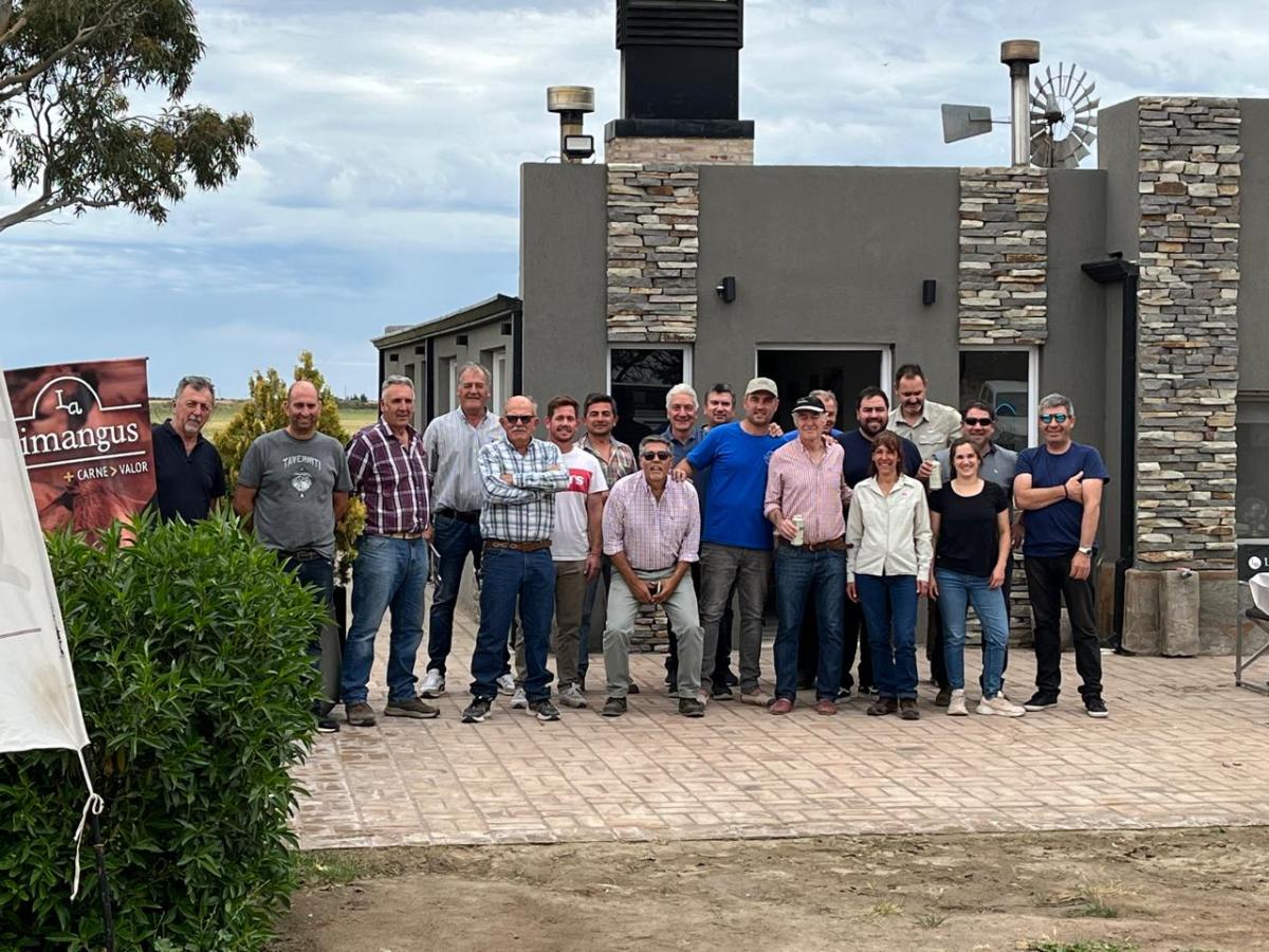 Limangus: La Raza que Revoluciona la Ganadería en Río Negro